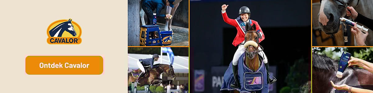 Mensen, Persoon, Ruitersport, Paard, Zoogdier, Mensen, Persoon, Ruitersport, Paard, Zoogdier